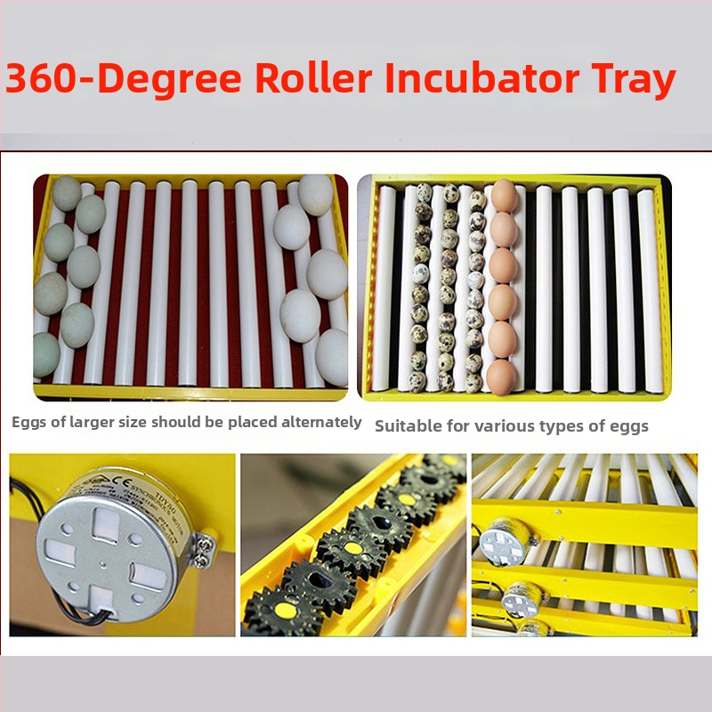 Jiayu Inkubatorius kiaušiniams ir vištoms – 360° savarankiškas ritinys, 6 mėnesių garantija, gyvulininkystė ir akvakultūra