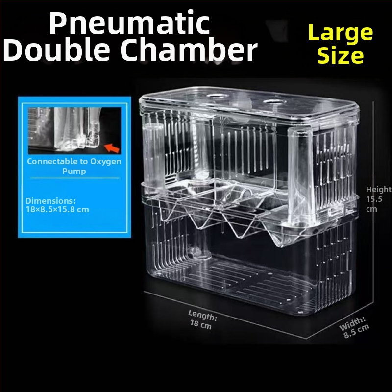 Plastikinis inkubacijos dėklas kiaušinėliams izšildyti