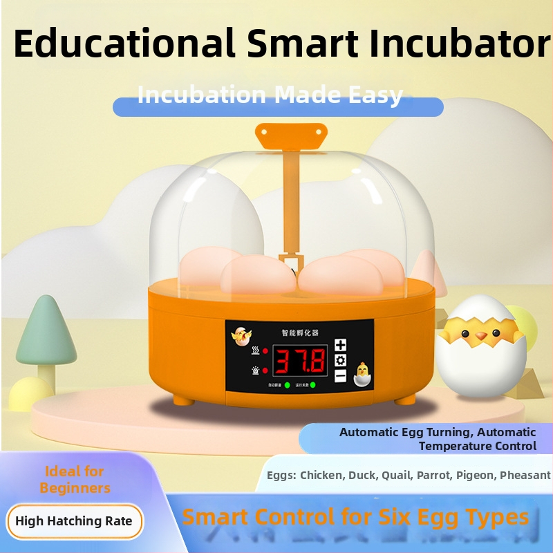 Kodune munainkubaator automaatse muna pööramisega, 6 muna mahutavus, sobib tibude ja putpelaste jaoks