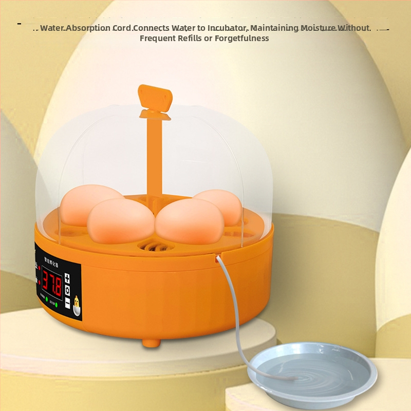 Namų naudojimo kiaušinių inkubatorius su automatiniu kiaušinių pasukimu, 6 kiaušinių talpa, skirtas pulkeliams ir putpelėms