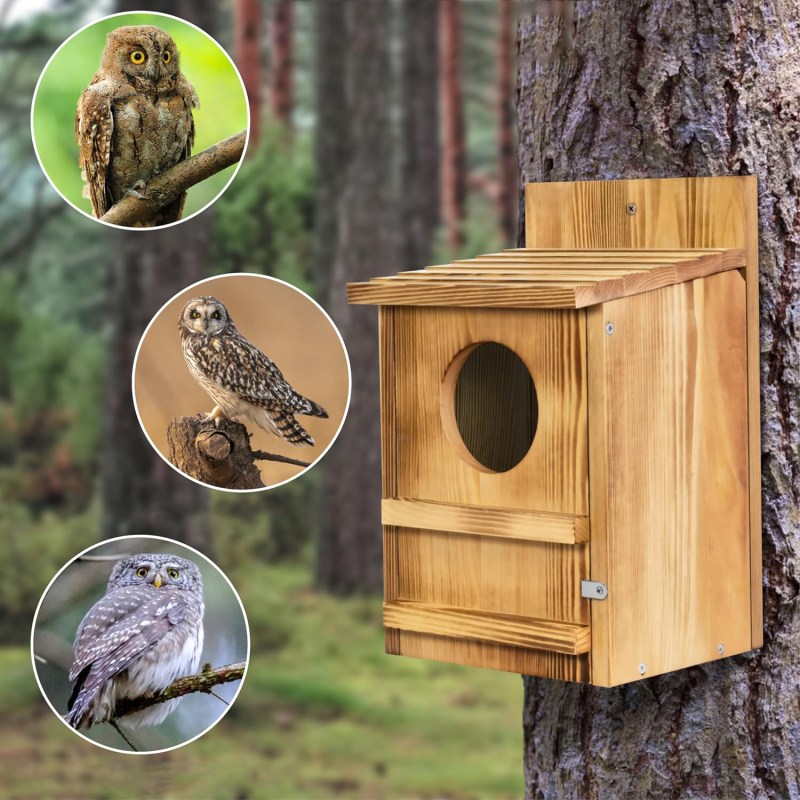 Medinė lesyklėlė lauko sieniniam tvirtinimui, paukščių veisimo dėžutė