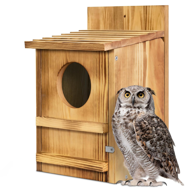 Medinė lesyklėlė lauko sieniniam tvirtinimui, paukščių veisimo dėžutė