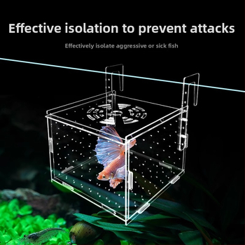 Akrila akvārija izolācijas korpuss – gupju dējēja kastīte, bruņurupuču mazuļi, Betta un tropiskās zivtiņas; Materiāls: akrils; Izcelsme: Hebei; Kategorija: akvārija aprīkojums