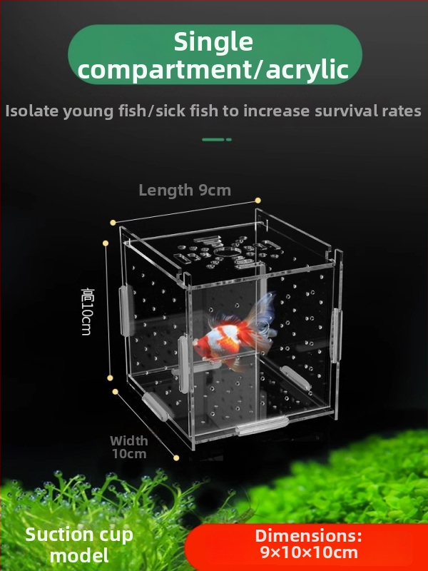 Akrila akvārija izolācijas korpuss – gupju dējēja kastīte, bruņurupuču mazuļi, Betta un tropiskās zivtiņas; Materiāls: akrils; Izcelsme: Hebei; Kategorija: akvārija aprīkojums