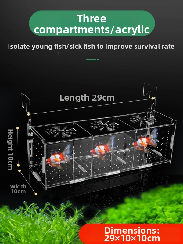 Akrila akvārija izolācijas korpuss – gupju dējēja kastīte, bruņurupuču mazuļi, Betta un tropiskās zivtiņas; Materiāls: akrils; Izcelsme: Hebei; Kategorija: akvārija aprīkojums