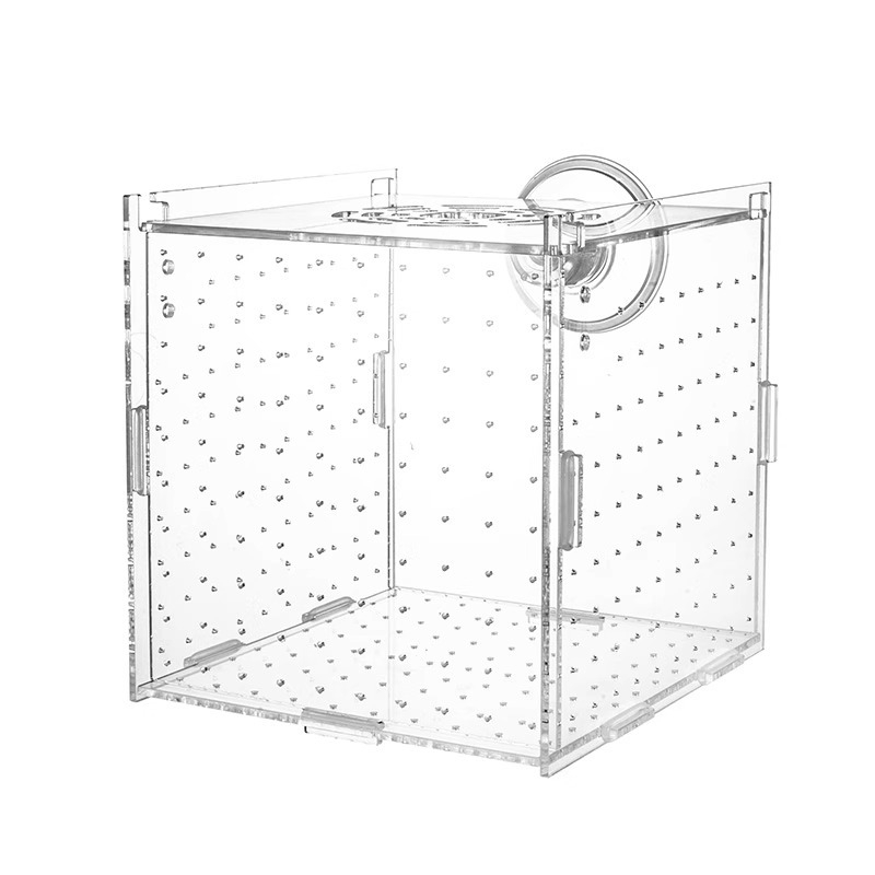 Акрилна изолираща кутия за аквариум – за гупи, костенурки, Betta риби и млади тропически риби; материал: акрил; произход: Хебей; категория: оборудване за аквариуми