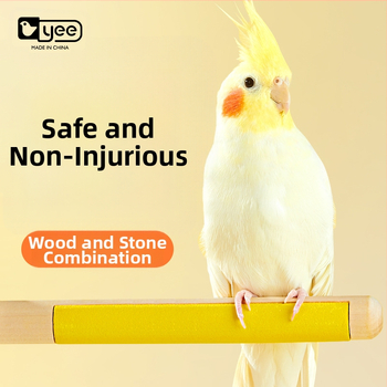 Puidust papagoi küünte viilutamise alus — lindudele, päritolu Shandong