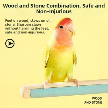 Puidust papagoi küünte viilutamise alus — lindudele, päritolu Shandong