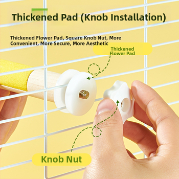 Puidust papagoi küünte viilutamise alus — lindudele, päritolu Shandong