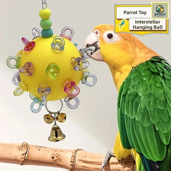 Papagoide mänguasja – täiskasvanud lindude jaoks, mänguasja tüüp, mitteimporditud
