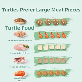 Kilpkonnade toit - kõrge proteiinisisaldusega ujuvad graanulid väikestele akvaariumikilpkonnadele, Yee bränd, 20 tk, 0,5 kg