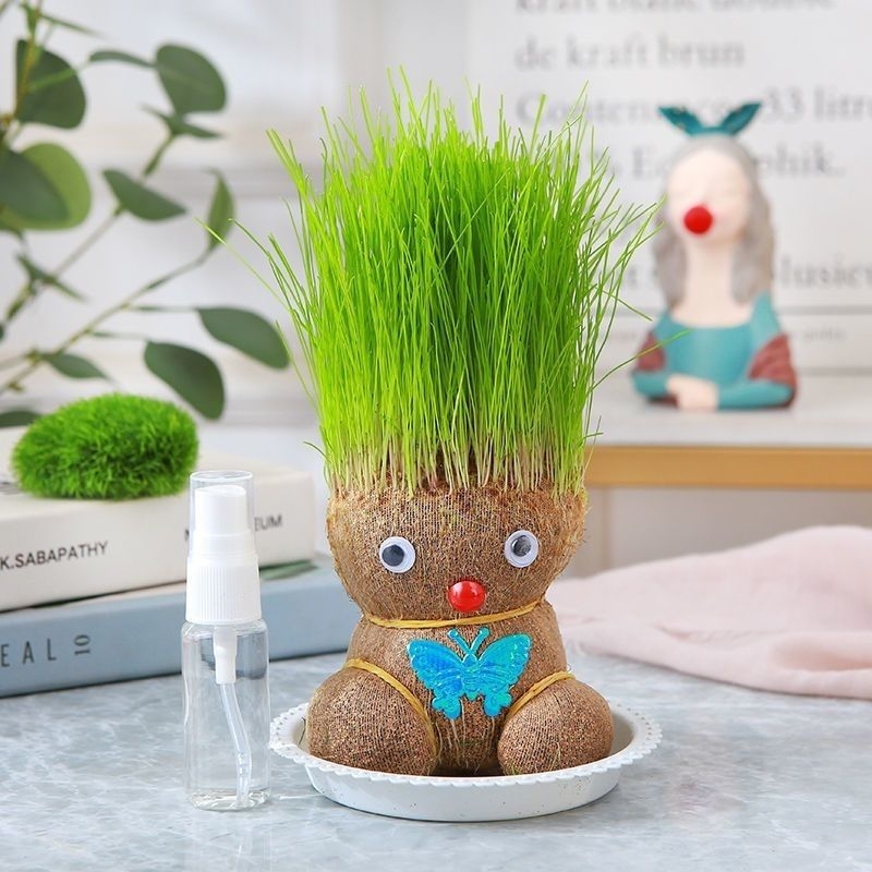 Кукла с глава от трева — вътрешно растение в саксия с котешка трева, Zhan yi, модерен минималистичен стил, подходяща за умерена температура, неутрална светлина и балансирана влажност
