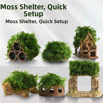 Keraminė akvariumo dekoracija – prieglobai ir kraštovaizdžiui; Prekės ženklas Crazy aquatic plants; Medžiaga keramika; Funkcija: prieglobai ir kraštovaizdžiui; Pagrindinis tikslas: kraštovaizdis, prieglobas