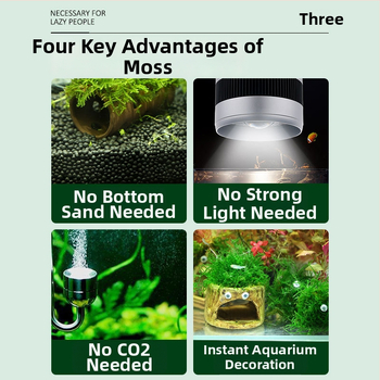 Keraminė akvariumo dekoracija – prieglobai ir kraštovaizdžiui; Prekės ženklas Crazy aquatic plants; Medžiaga keramika; Funkcija: prieglobai ir kraštovaizdžiui; Pagrindinis tikslas: kraštovaizdis, prieglobas