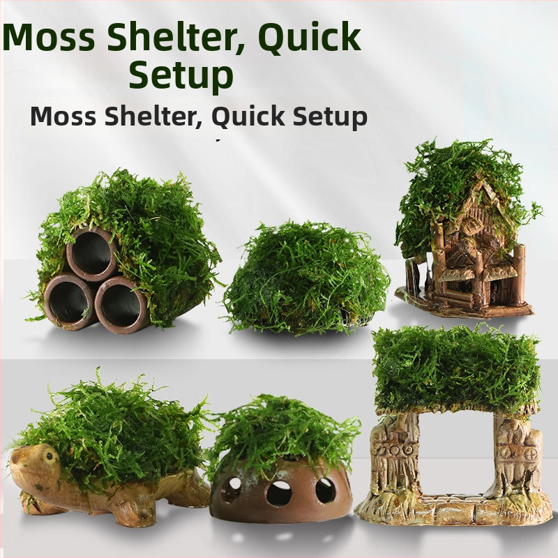 Keraminė akvariumo dekoracija – prieglobai ir kraštovaizdžiui; Prekės ženklas Crazy aquatic plants; Medžiaga keramika; Funkcija: prieglobai ir kraštovaizdžiui; Pagrindinis tikslas: kraštovaizdis, prieglobas