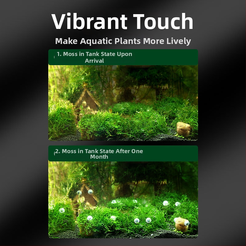 Keraamiline akvaariumi dekoratsioon varjupaiga ja maastiku jaoks — Bränd Crazy aquatic plants; Materjal keraamika; Funktsioon: varjupaik ja maastik; Põhiline eesmärk: maastik ja varjupaik