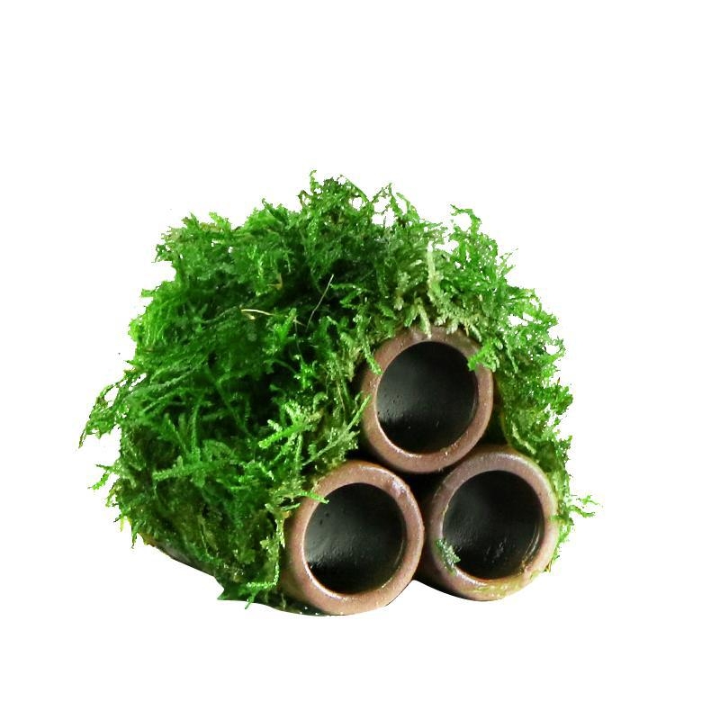 Keraminė akvariumo dekoracija – prieglobai ir kraštovaizdžiui; Prekės ženklas Crazy aquatic plants; Medžiaga keramika; Funkcija: prieglobai ir kraštovaizdžiui; Pagrindinis tikslas: kraštovaizdis, prieglobas