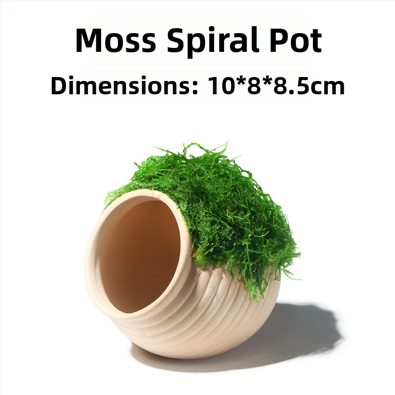 Keraminė akvariumo dekoracija – prieglobai ir kraštovaizdžiui; Prekės ženklas Crazy aquatic plants; Medžiaga keramika; Funkcija: prieglobai ir kraštovaizdžiui; Pagrindinis tikslas: kraštovaizdis, prieglobas