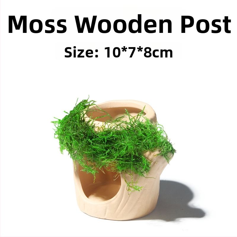 Keraminė akvariumo dekoracija – prieglobai ir kraštovaizdžiui; Prekės ženklas Crazy aquatic plants; Medžiaga keramika; Funkcija: prieglobai ir kraštovaizdžiui; Pagrindinis tikslas: kraštovaizdis, prieglobas