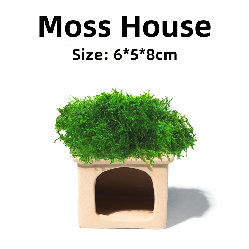 Keraminė akvariumo dekoracija – prieglobai ir kraštovaizdžiui; Prekės ženklas Crazy aquatic plants; Medžiaga keramika; Funkcija: prieglobai ir kraštovaizdžiui; Pagrindinis tikslas: kraštovaizdis, prieglobas