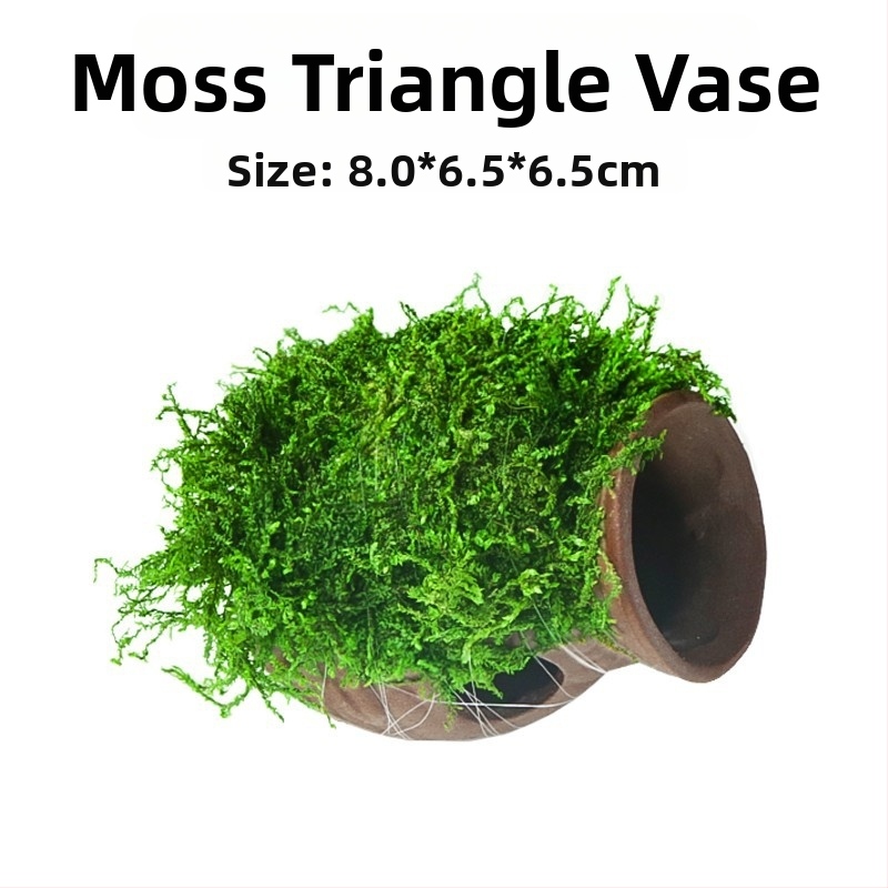 Keraminė akvariumo dekoracija – prieglobai ir kraštovaizdžiui; Prekės ženklas Crazy aquatic plants; Medžiaga keramika; Funkcija: prieglobai ir kraštovaizdžiui; Pagrindinis tikslas: kraštovaizdis, prieglobas