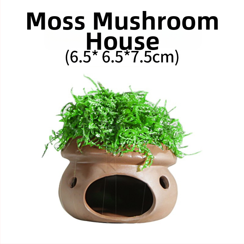 Keraminė akvariumo dekoracija – prieglobai ir kraštovaizdžiui; Prekės ženklas Crazy aquatic plants; Medžiaga keramika; Funkcija: prieglobai ir kraštovaizdžiui; Pagrindinis tikslas: kraštovaizdis, prieglobas