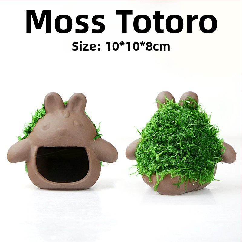 Keraminė akvariumo dekoracija – prieglobai ir kraštovaizdžiui; Prekės ženklas Crazy aquatic plants; Medžiaga keramika; Funkcija: prieglobai ir kraštovaizdžiui; Pagrindinis tikslas: kraštovaizdis, prieglobas