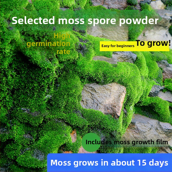 Moho sporu milteliai mikropeizažams ir bonsajams — Independence prekės ženklas, neimportuota