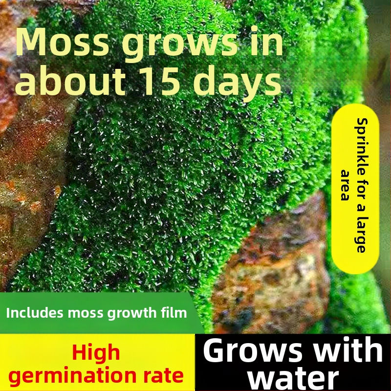 Moho sporu milteliai mikropeizažams ir bonsajams — Independence prekės ženklas, neimportuota