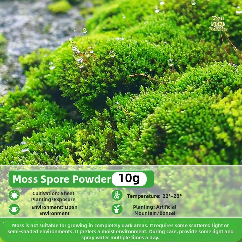 Moho sporu milteliai mikropeizažams ir bonsajams — Independence prekės ženklas, neimportuota