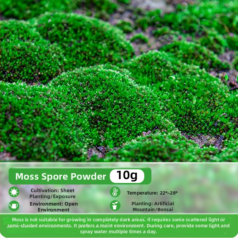 Moho sporu milteliai mikropeizažams ir bonsajams — Independence prekės ženklas, neimportuota