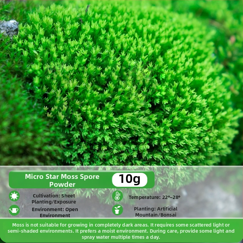 Moho sporu milteliai mikropeizažams ir bonsajams — Independence prekės ženklas, neimportuota