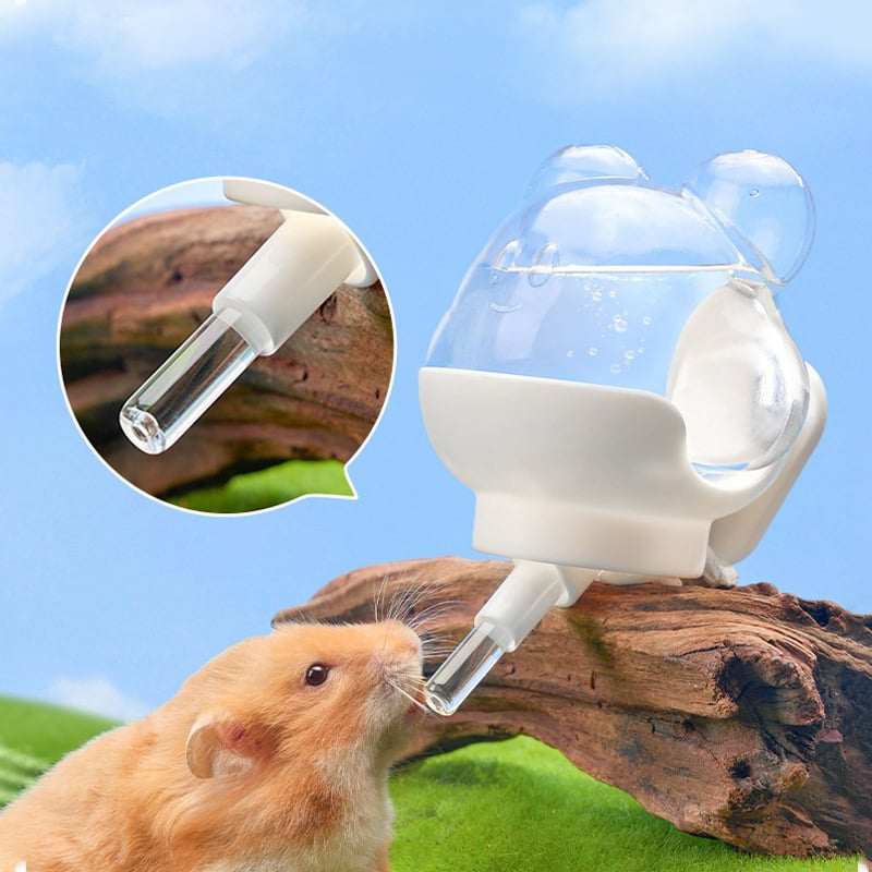 Μπουκάλι νερού για μικρά κατοικίδια με στερέωση στον τοίχο και κενού σχεδιασμό — Υλικό: ABS/PP/PC/Glass; Μάρκα: lonppet; Αριθμός προϊόντος: AL49; Κατηγορία: Εργαλεία σίτισης κατοικίδιων; Διεθνείς εξαγωγές: Ναι