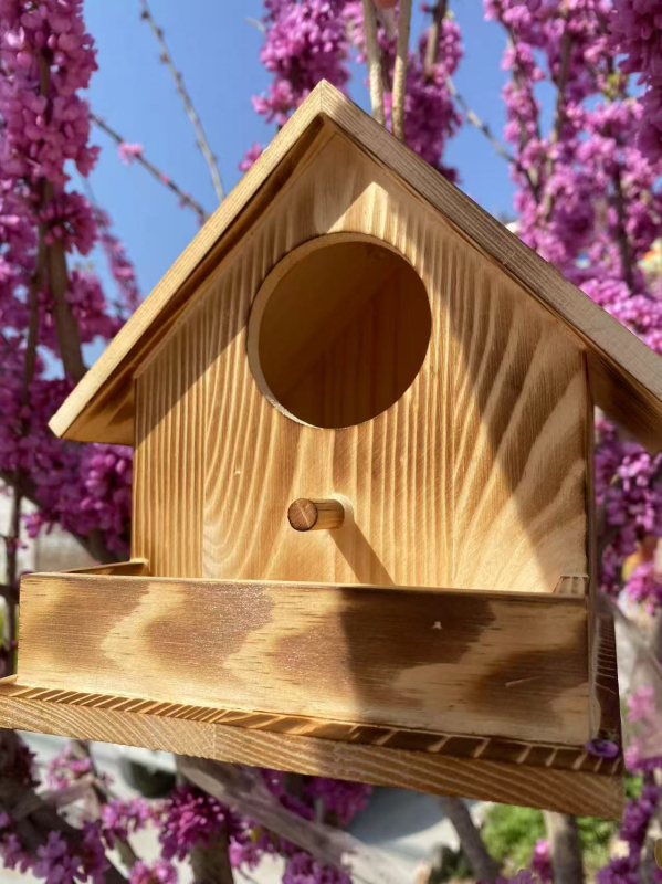 Kuća za ptice od borovine, Pengcheng, za ptice
