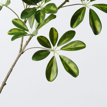 Umjetna Zelenila Duck Foot Wood s Drvenom Ručkom za Unutarnje Aranžmane, Plastika/Meko PVC, Simulacija i Injekcijsko Formiranje