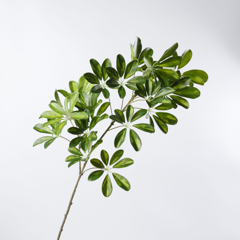 Umjetna Zelenila Duck Foot Wood s Drvenom Ručkom za Unutarnje Aranžmane, Plastika/Meko PVC, Simulacija i Injekcijsko Formiranje