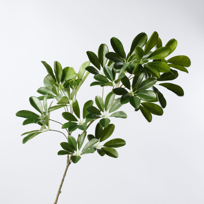 Umjetna Zelenila Duck Foot Wood s Drvenom Ručkom za Unutarnje Aranžmane, Plastika/Meko PVC, Simulacija i Injekcijsko Formiranje
