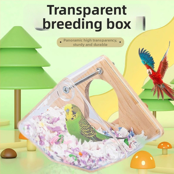 Paukščių veisimo lizdo dėžė - Mažas kūno tipas - Amžius: Suaugęs - Kilmė: Shandong - Importuota: Ne