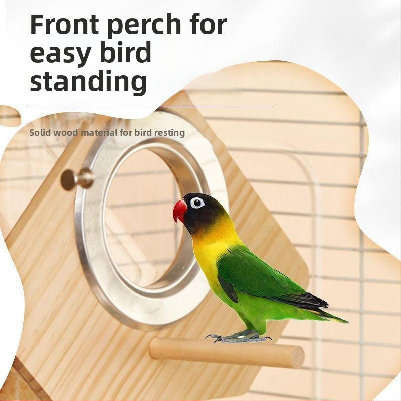 Putnu audzēšanas ligzdas kastīte - Mazs ķermeņa tips - Vecums: Pieaudzis - Izcelsme: Shandong - Importēts: Nē