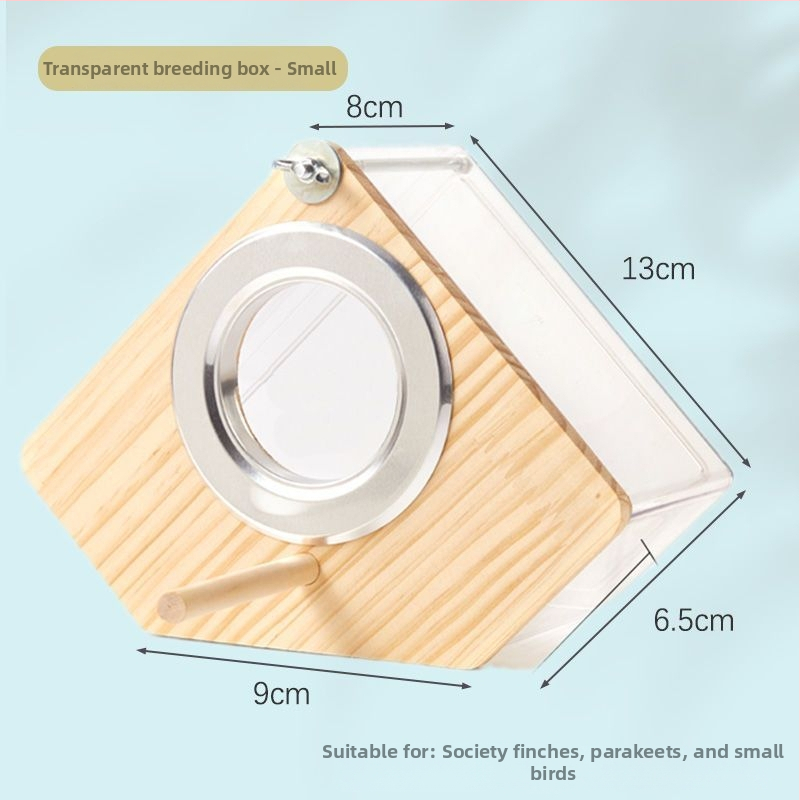 Paukščių veisimo lizdo dėžė - Mažas kūno tipas - Amžius: Suaugęs - Kilmė: Shandong - Importuota: Ne