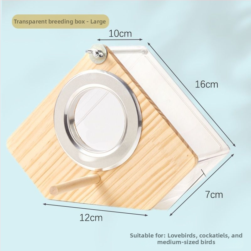 Paukščių veisimo lizdo dėžė - Mažas kūno tipas - Amžius: Suaugęs - Kilmė: Shandong - Importuota: Ne