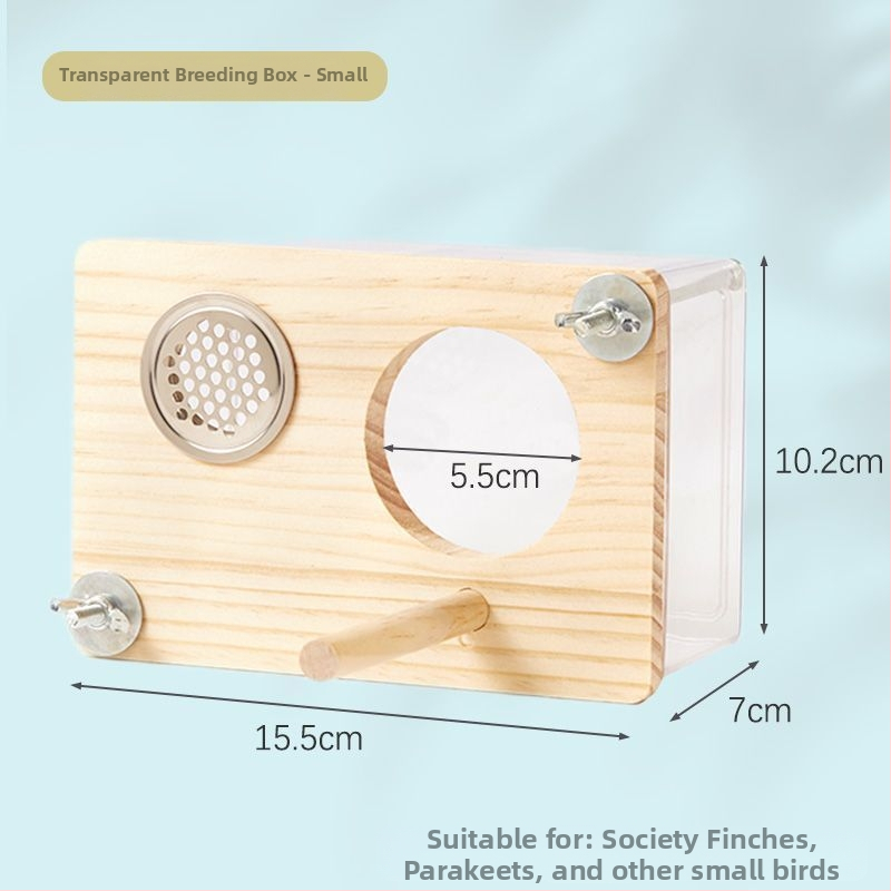 Paukščių veisimo lizdo dėžė - Mažas kūno tipas - Amžius: Suaugęs - Kilmė: Shandong - Importuota: Ne