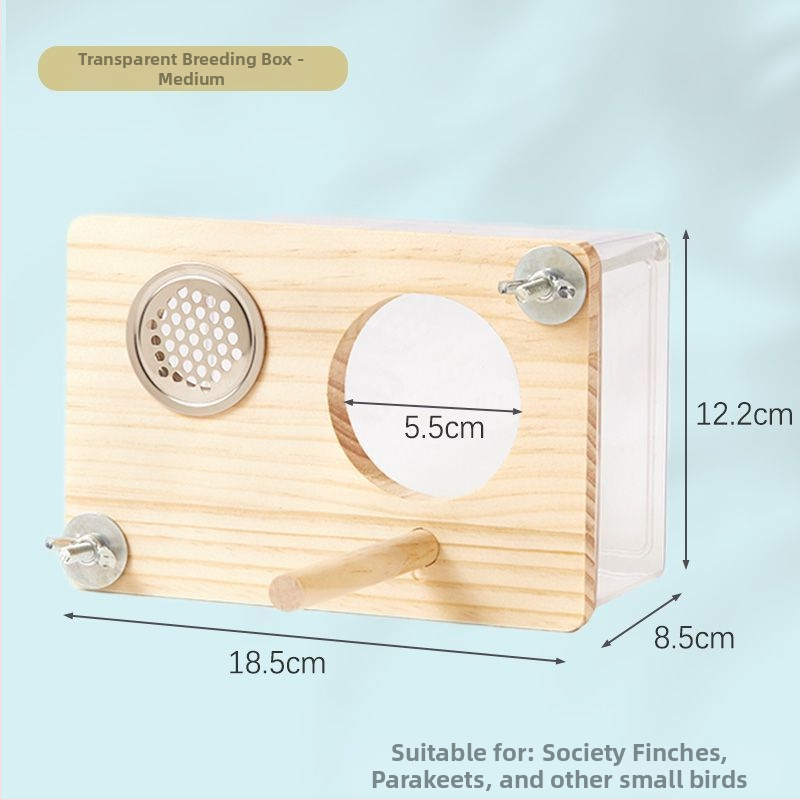 Paukščių veisimo lizdo dėžė - Mažas kūno tipas - Amžius: Suaugęs - Kilmė: Shandong - Importuota: Ne