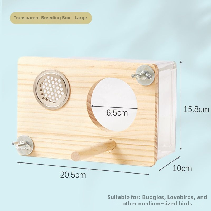 Paukščių veisimo lizdo dėžė - Mažas kūno tipas - Amžius: Suaugęs - Kilmė: Shandong - Importuota: Ne