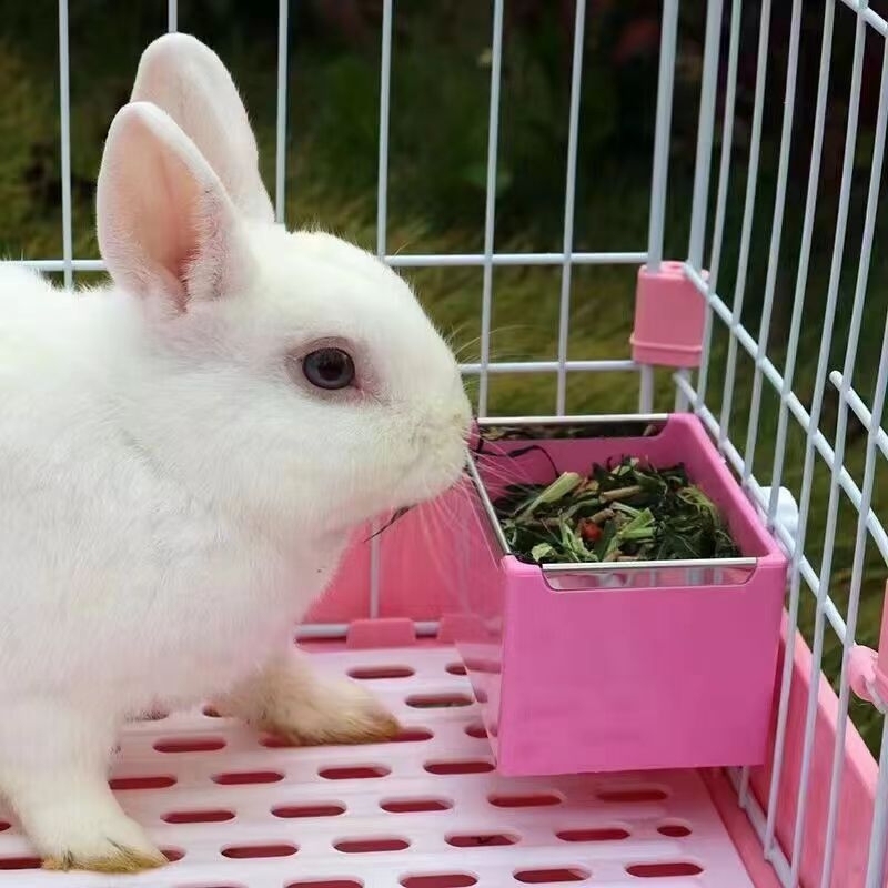 Hrănitor automat pentru animale de companie – bol de plastic pentru iepuri, purcei de Guinea, hamsteri și veverițe (design fix)
