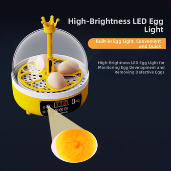 Automaatne intelligentne inkubatsioonimasin papagoidele, pīlēm ja cāļiem – Jiayu