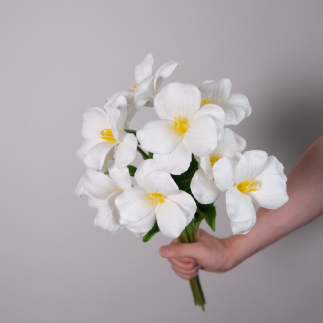 Dirbtinis tulipanas - PU jausmas, aukšta kokybė, Kangxin, serija 38553505166, vestuvėms, lauko naudojimui, fotografijos rekvizitai, namų dekoravimui