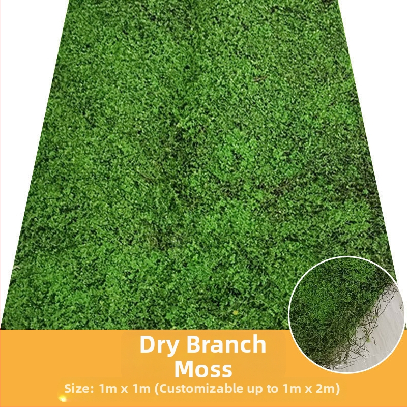 Zien — dekoratīvā mākslīgā sūna ainavu miniatūrām, sērija Simulated moss lawn, injekcijas liešana, iepakojums Opp bag