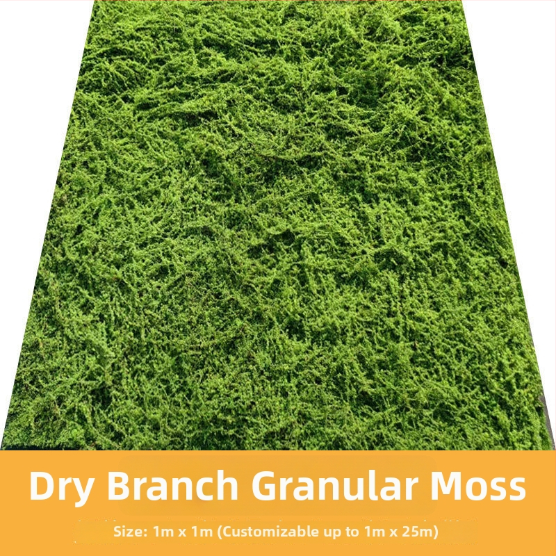 Zien — dekoratīvā mākslīgā sūna ainavu miniatūrām, sērija Simulated moss lawn, injekcijas liešana, iepakojums Opp bag