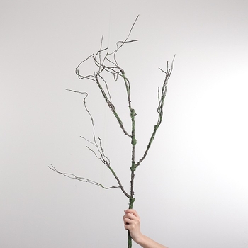 Umjetne vinove loze i grančice za uređenje krajolika – dulje suhe loze, zeleni zid; Marka: Dream castle (flowers); Umjetnost: Styling; Vrsta: Simulated dead vine; Svrha: vjenčanja, vanjski prostor, rekviziti za fotografiju, kućna dekoracija